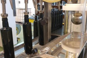 buy-extra--virgin-olive-oil-sri-lanka